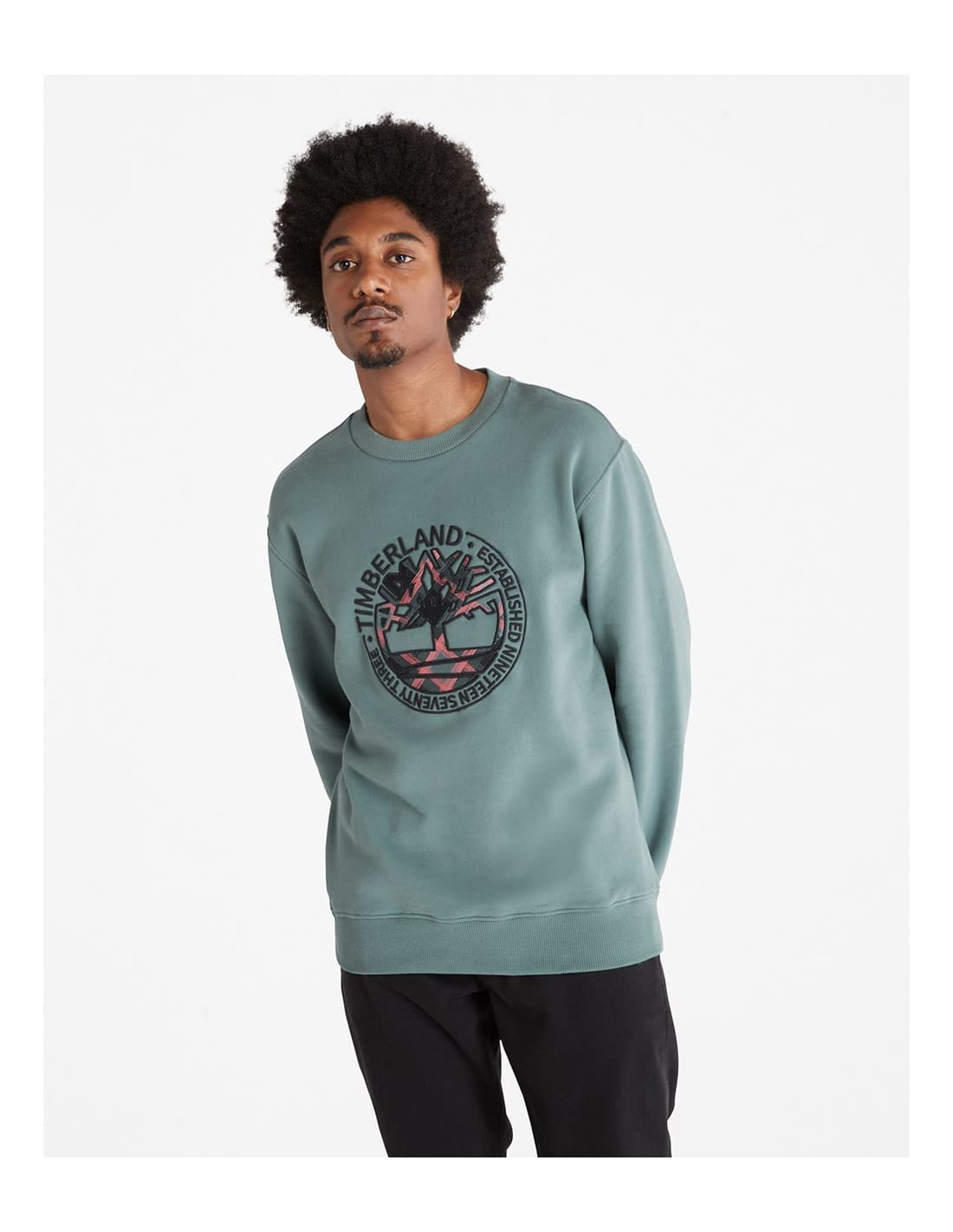 Sweat-shirt TIMBERLAND Little Cold Crew SW 3