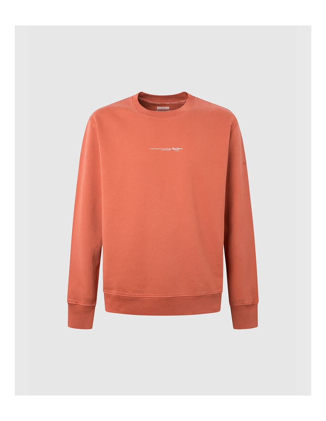 PEPE JEANS David - Sweat-shirt 1