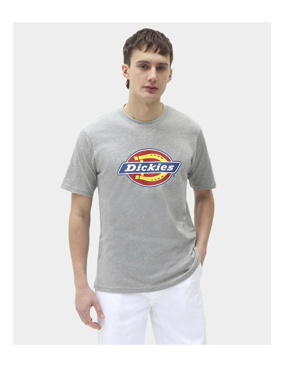 T-shirt DICKIES DK0A4XC9 1