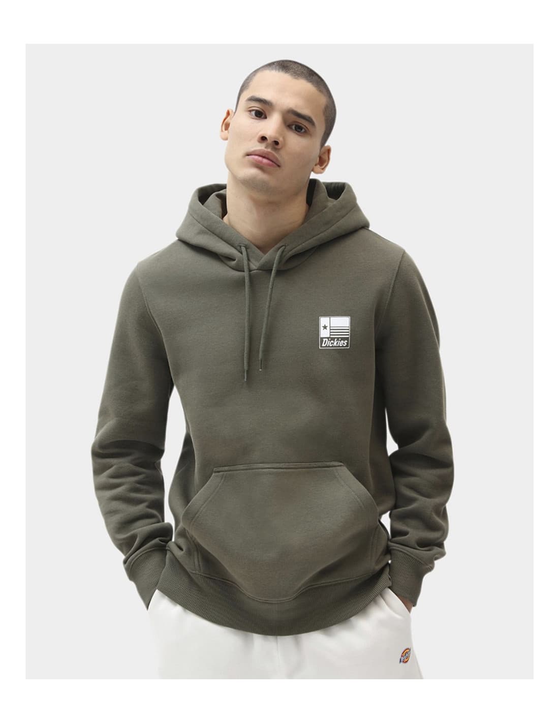 Sweat-shirt DICKIES Taylor 1