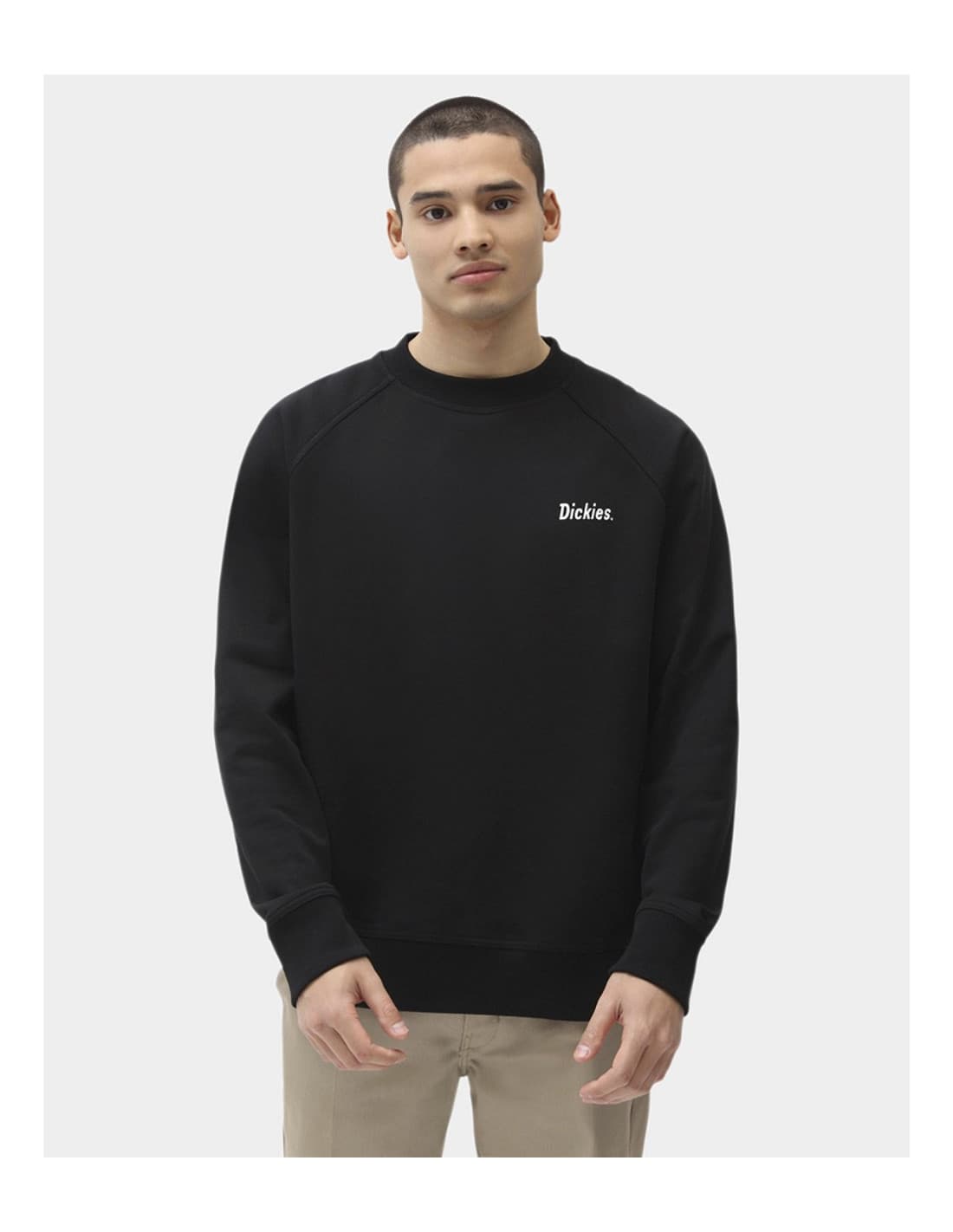 Sweat-shirt DICKIES BETTLES 1