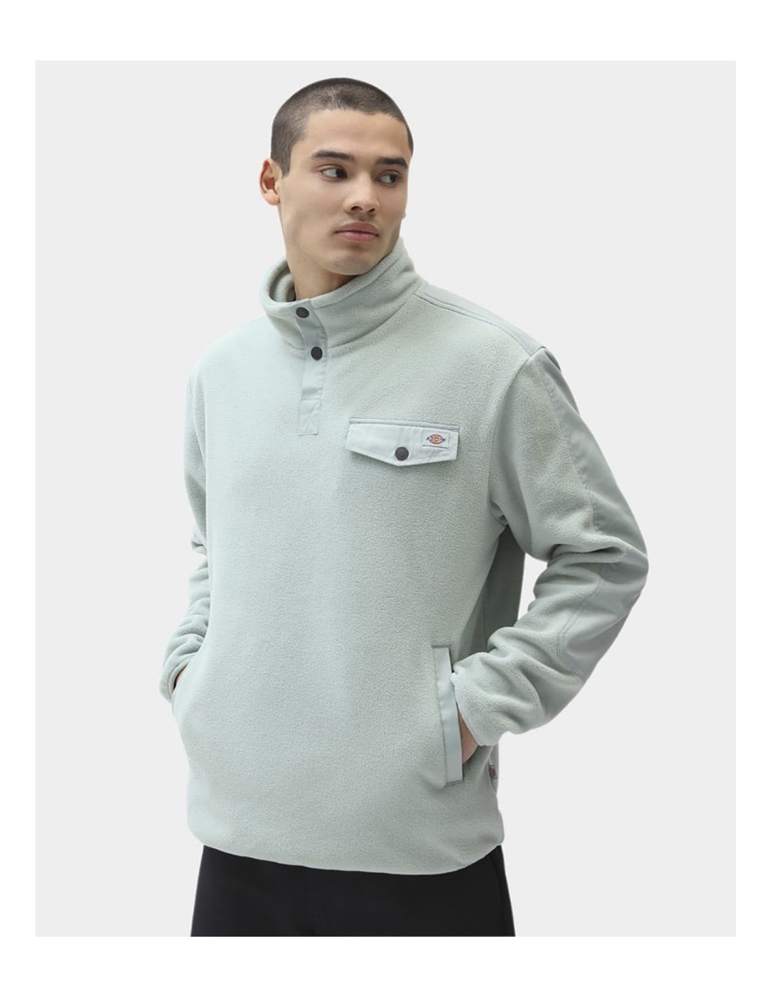 Sweat-shirt polaire DICKIES Port Allen 1