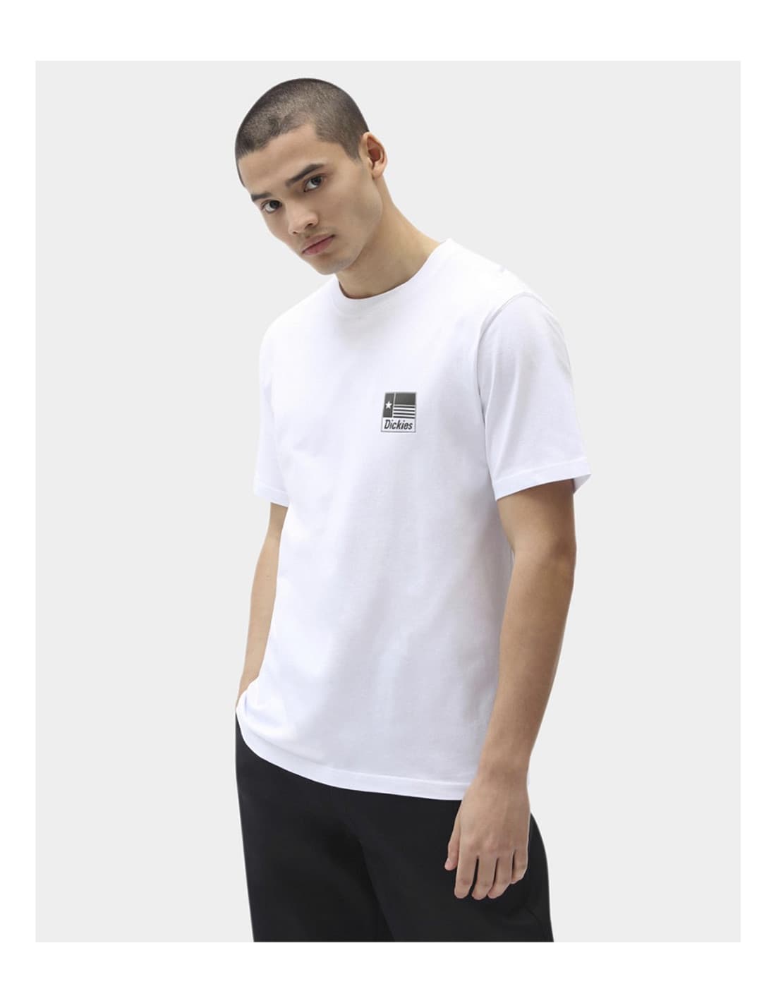 T-shirt DICKIES Taylor 1