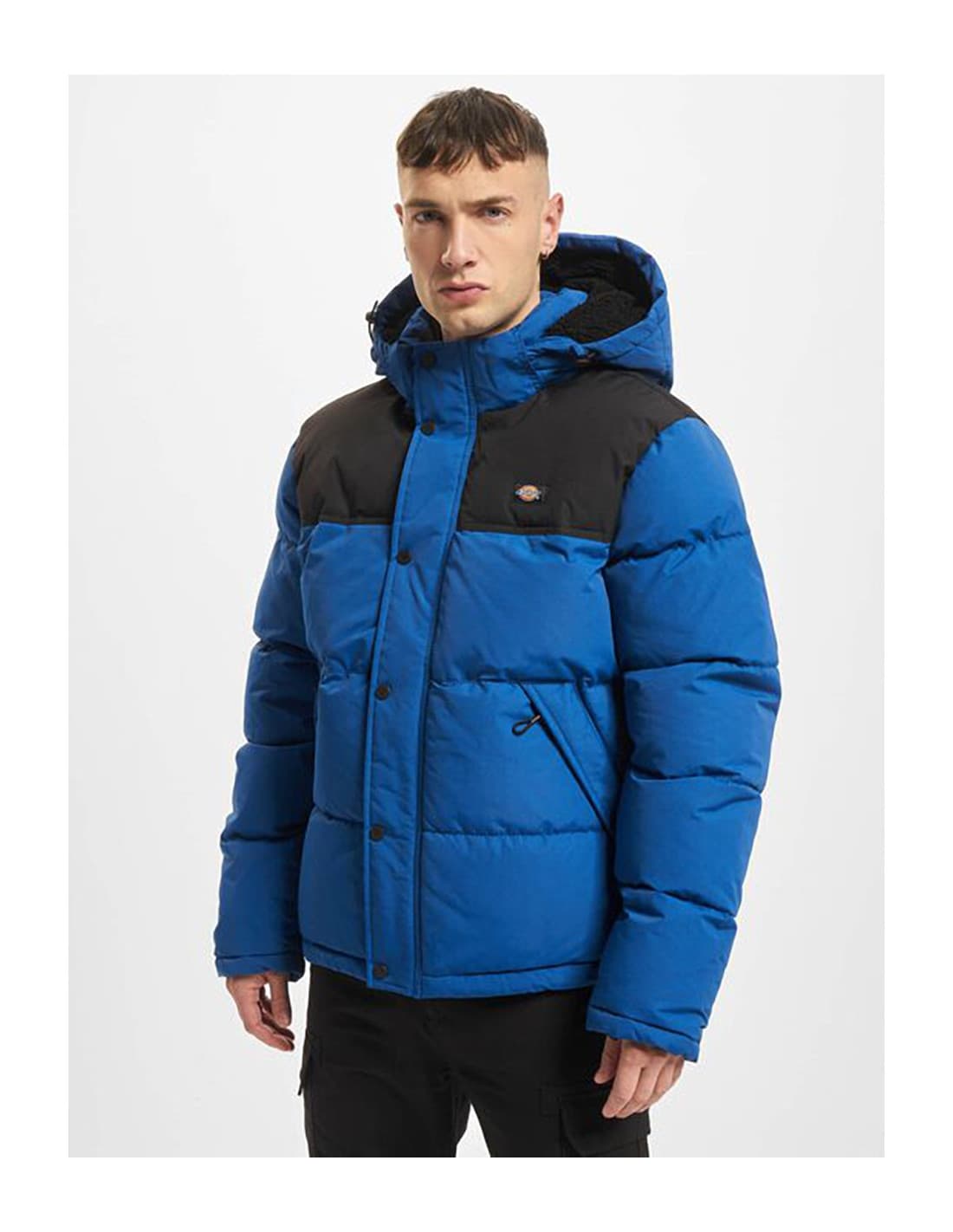 Manteau DICKIES Glacier View 1