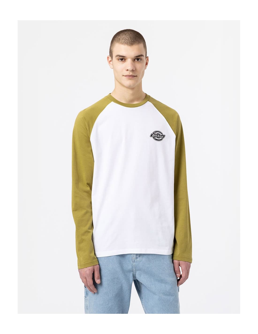 T-shirt DICKIES DK0A4XDF 4