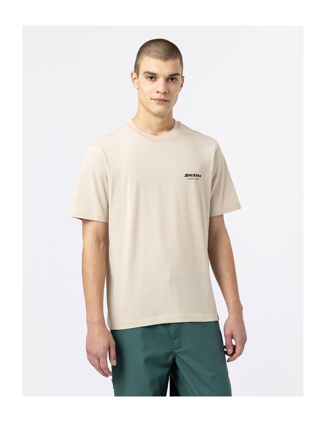 T-shirt DICKIES DK0A4XNY 3