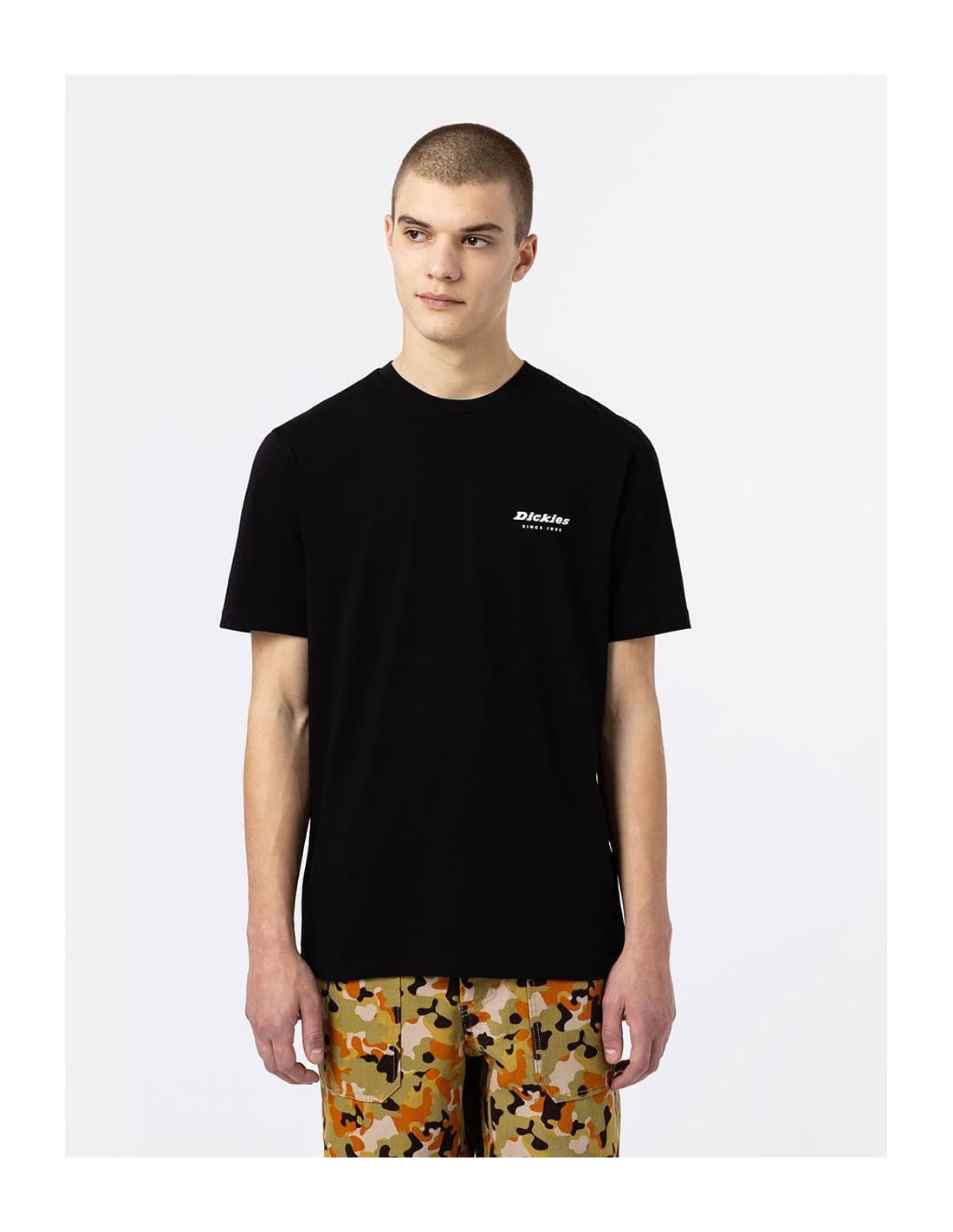 T-shirt DICKIES DK0A4XNY 9