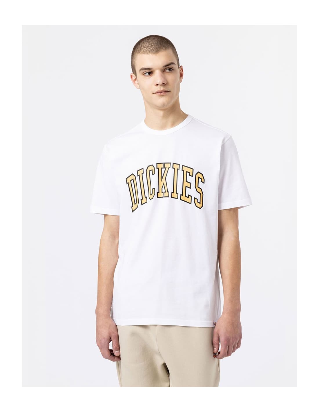 T-shirt DICKIES DK0A4X9F 1