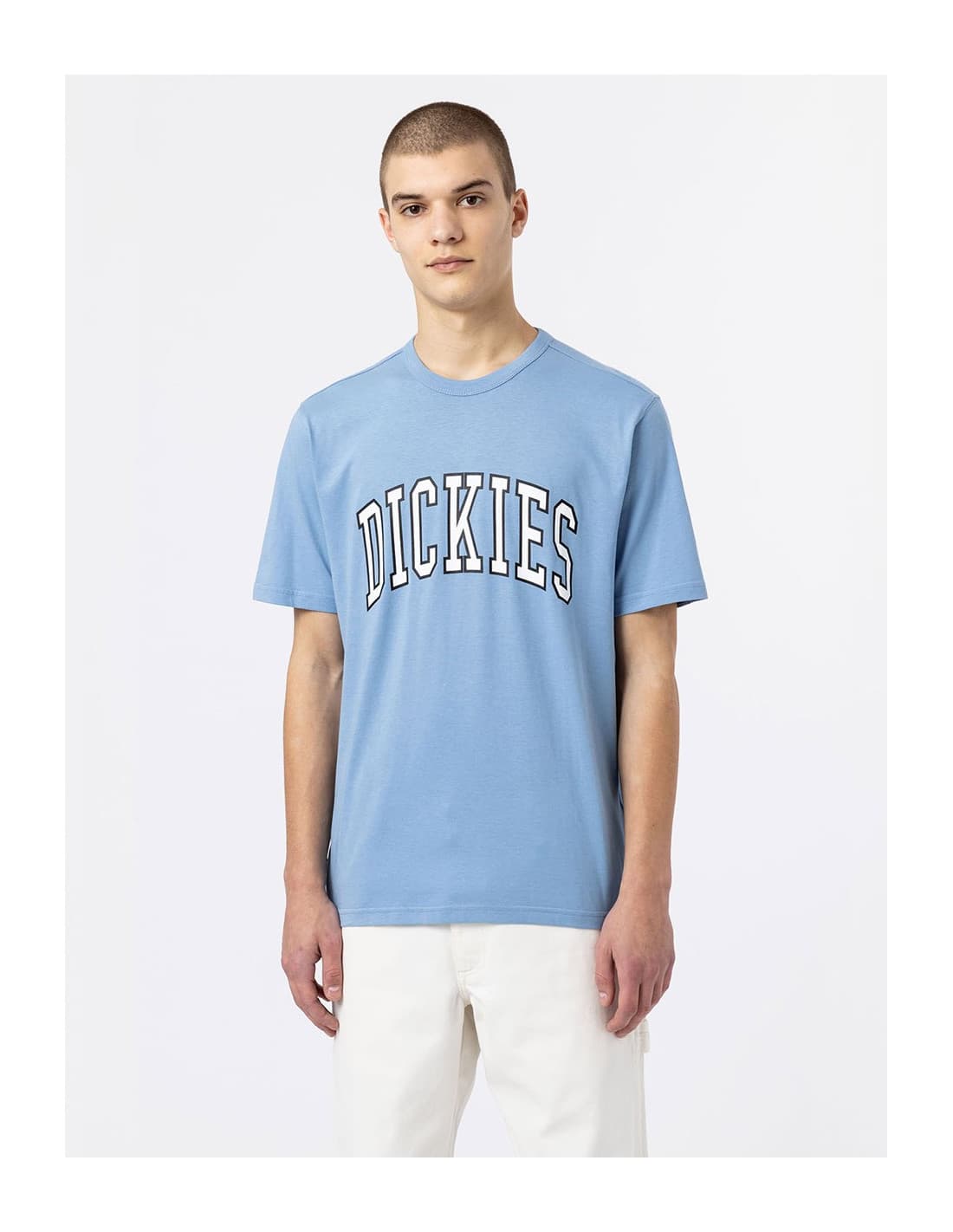T-shirt DICKIES DK0A4X9F 7