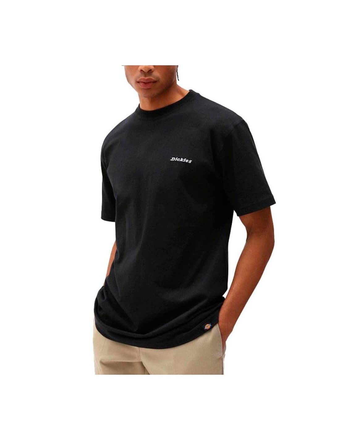 T-shirt DICKIES DK0A4X9O 1