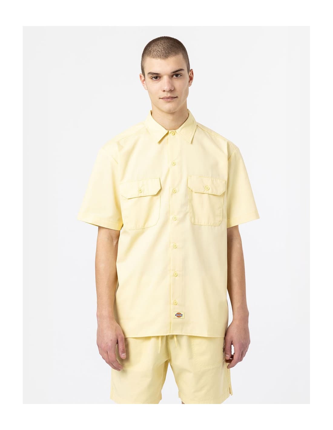 Chemise DICKIES DK0A4XK7 1