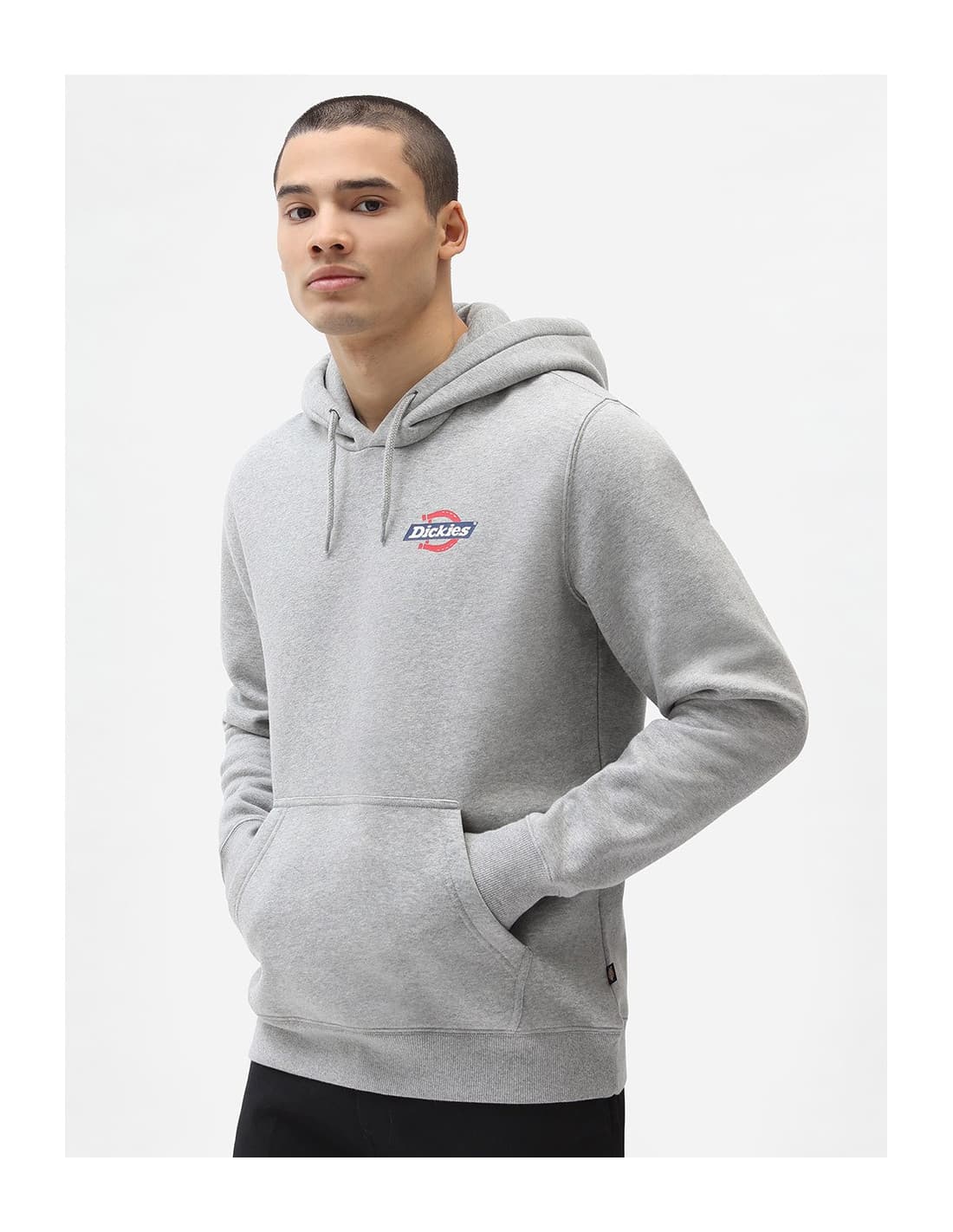 Sweat-shirt DICKIES DK0A4XAH 1