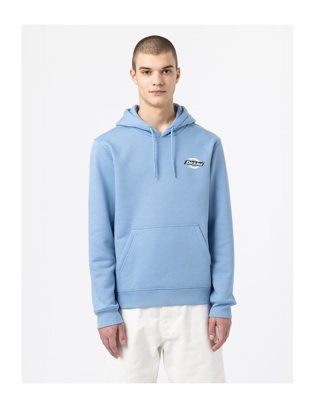 Sweat-shirt DICKIES DK0A4XAH 8