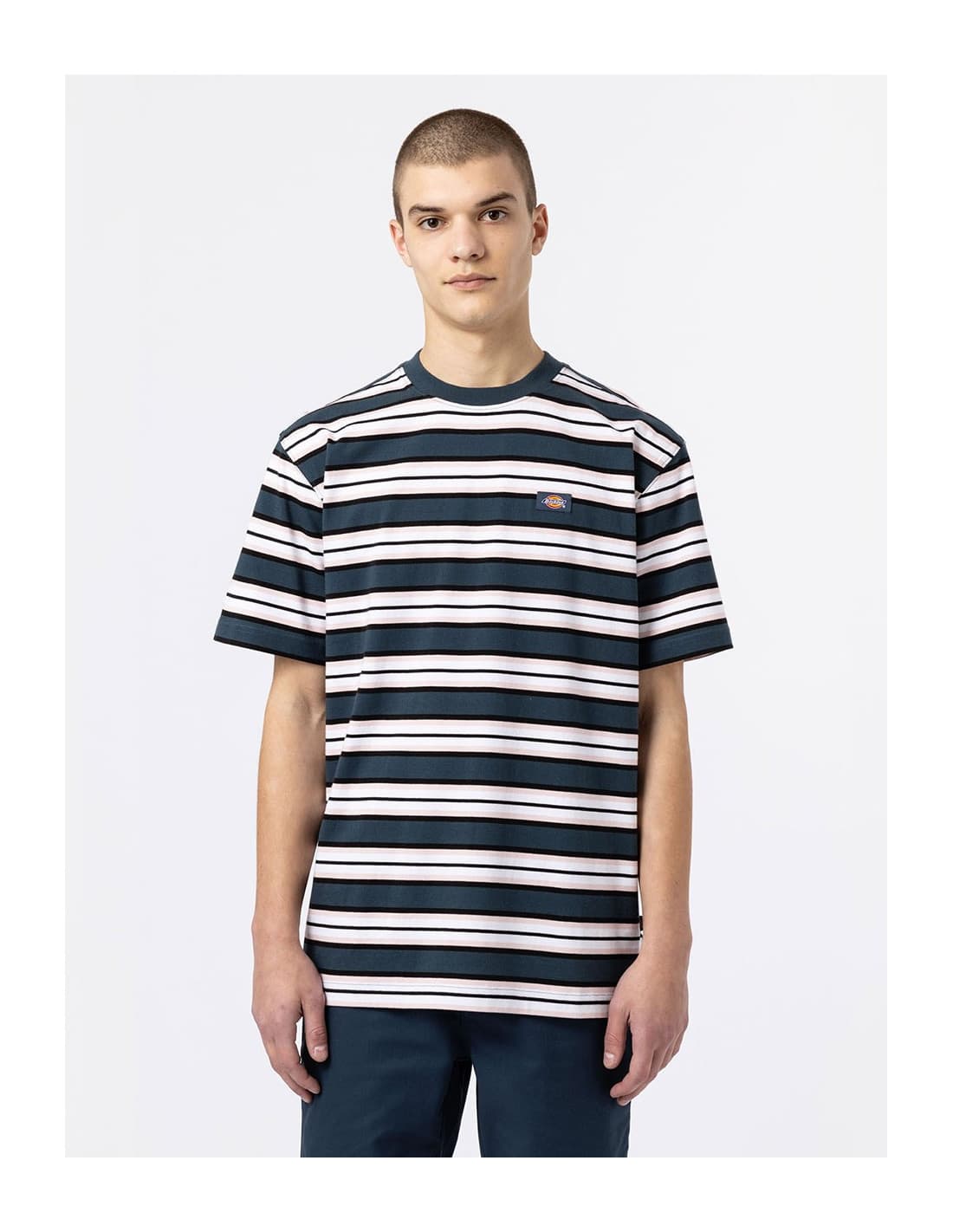 T-shirt DICKIES DK0A4XPC 2