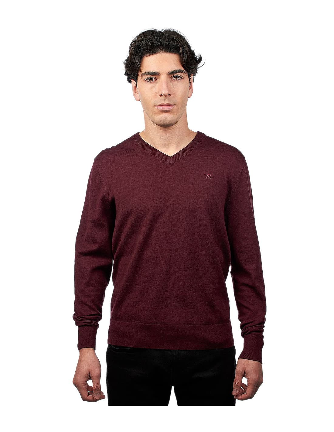 HACKETT HM702761 - Pull 1