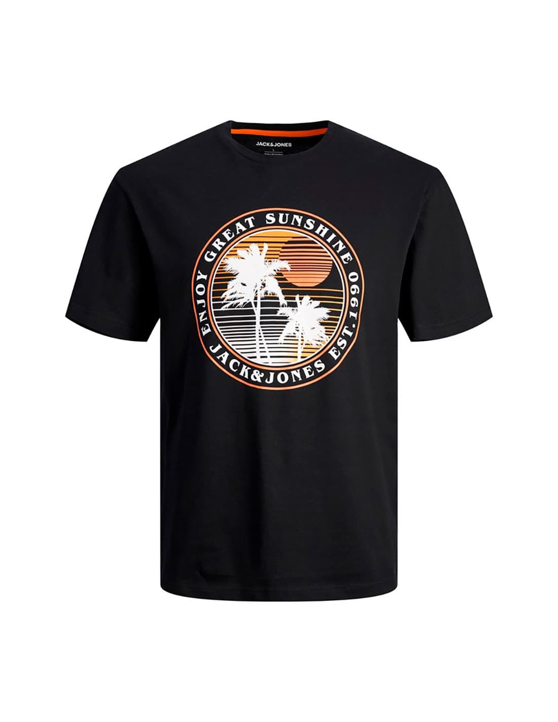 T-shirt JACK & JONES 12247778 2