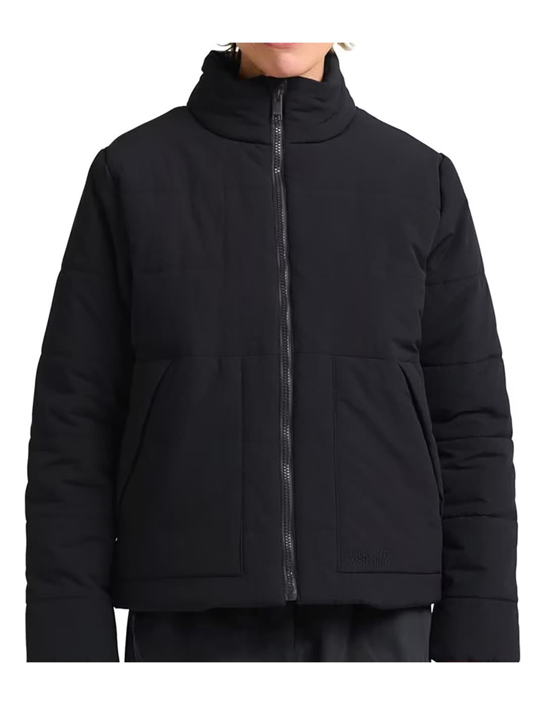 JACK WOLFSKIN Northern lite - Veste 2