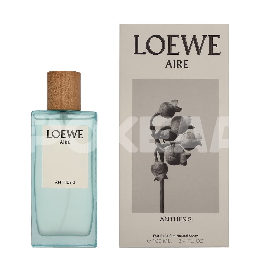 Loewe Aire Anthesis Edp Spray 100ml 1