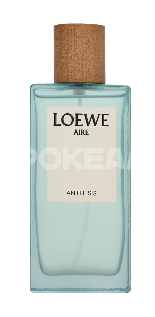 Loewe Aire Anthesis Edp Spray 100ml 2