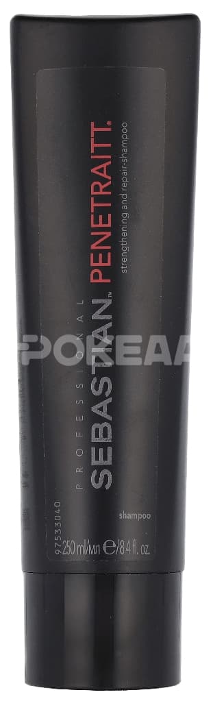 Sebastian Penetraitt Shampoo 250ml 1
