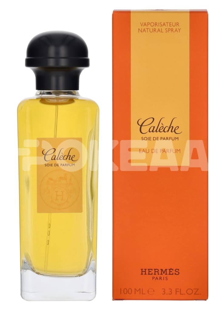 Hermes Caleche Soie De Parfum Edp Spray – 100 ml 1