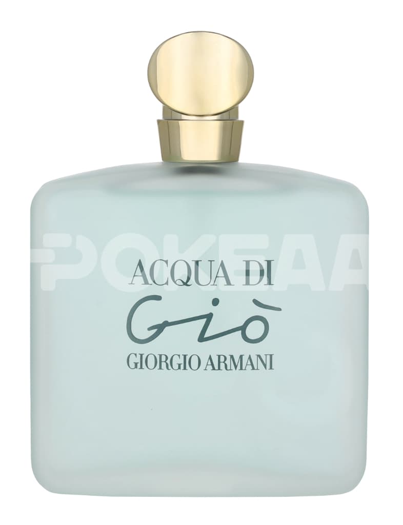 Armani Acqua Di Gio Pour Femme Edt Spray – 100 ml 2