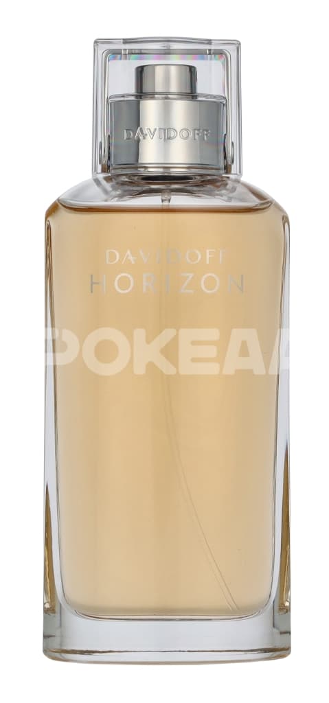 Davidoff Horizon Edt Spray 125ml 2