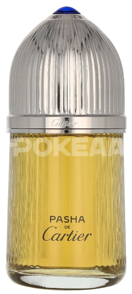 Cartier Pasha Edp Spray 100ml 2