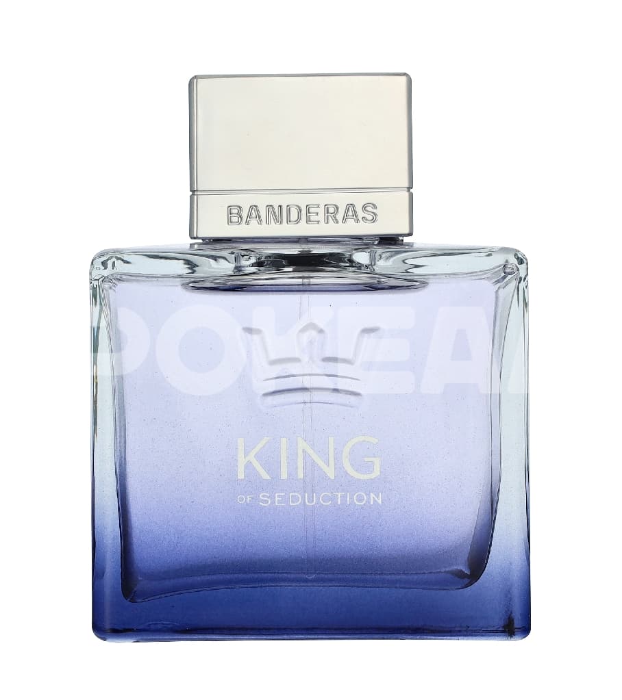 A. Banderas King Of Seduction Edt Spray 100ml 2
