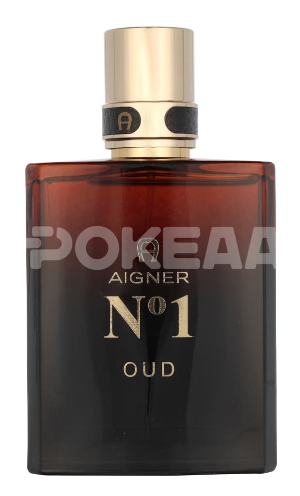 Etienne Aigner No 1 Oud Edp Spray 100ml 2