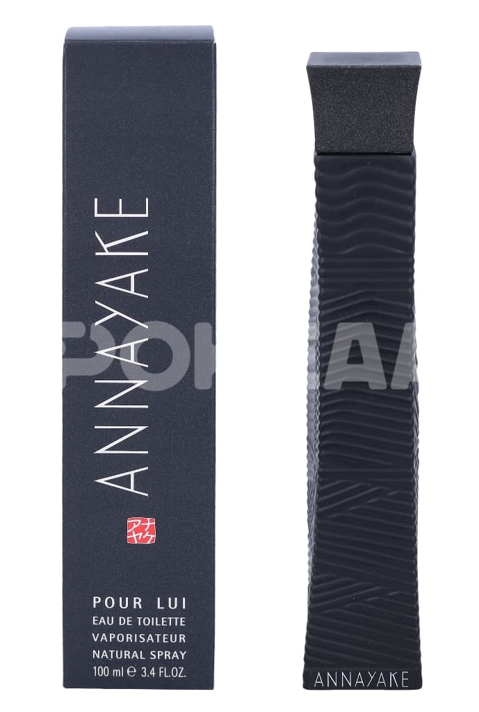 Annayake Pour Lui Edt Spray 100ml 1
