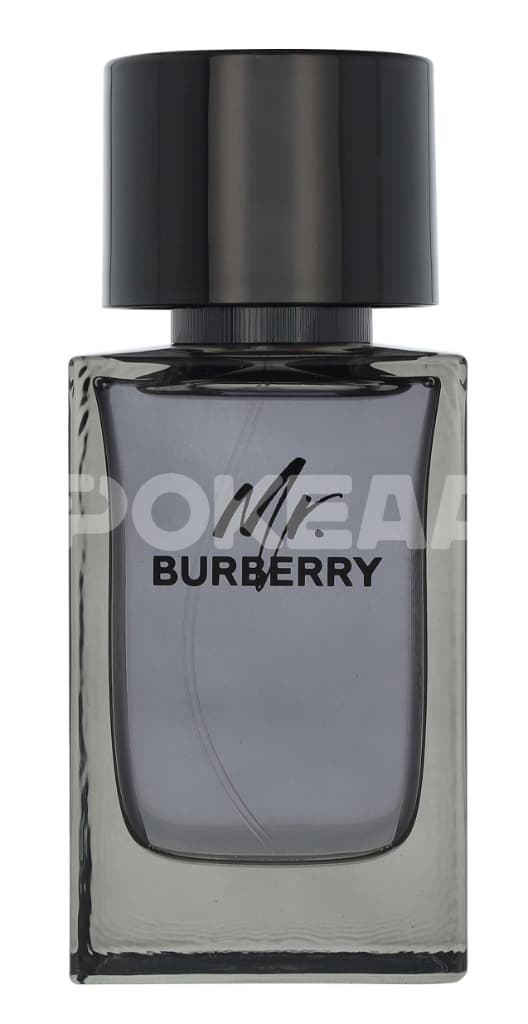 Burberry Mr. Burberry Edt Spray 100ml 2