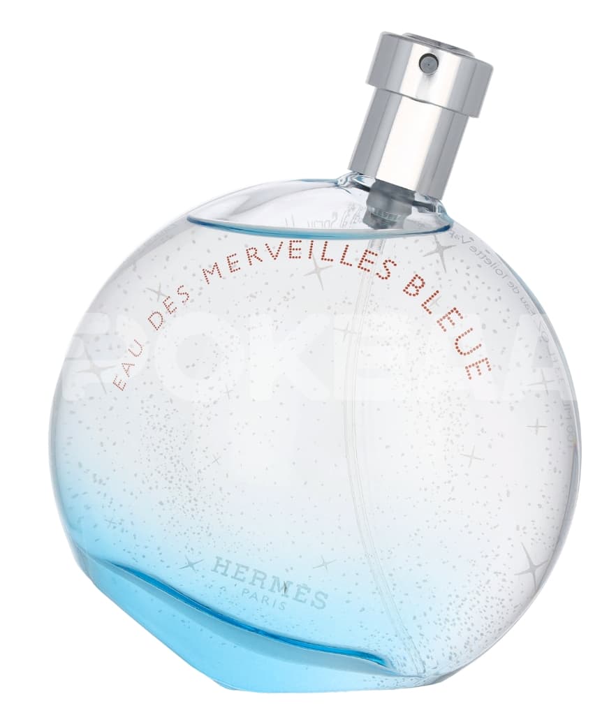 Hermes Eau Des Merveilles Bleue Edt Spray 100ml 2