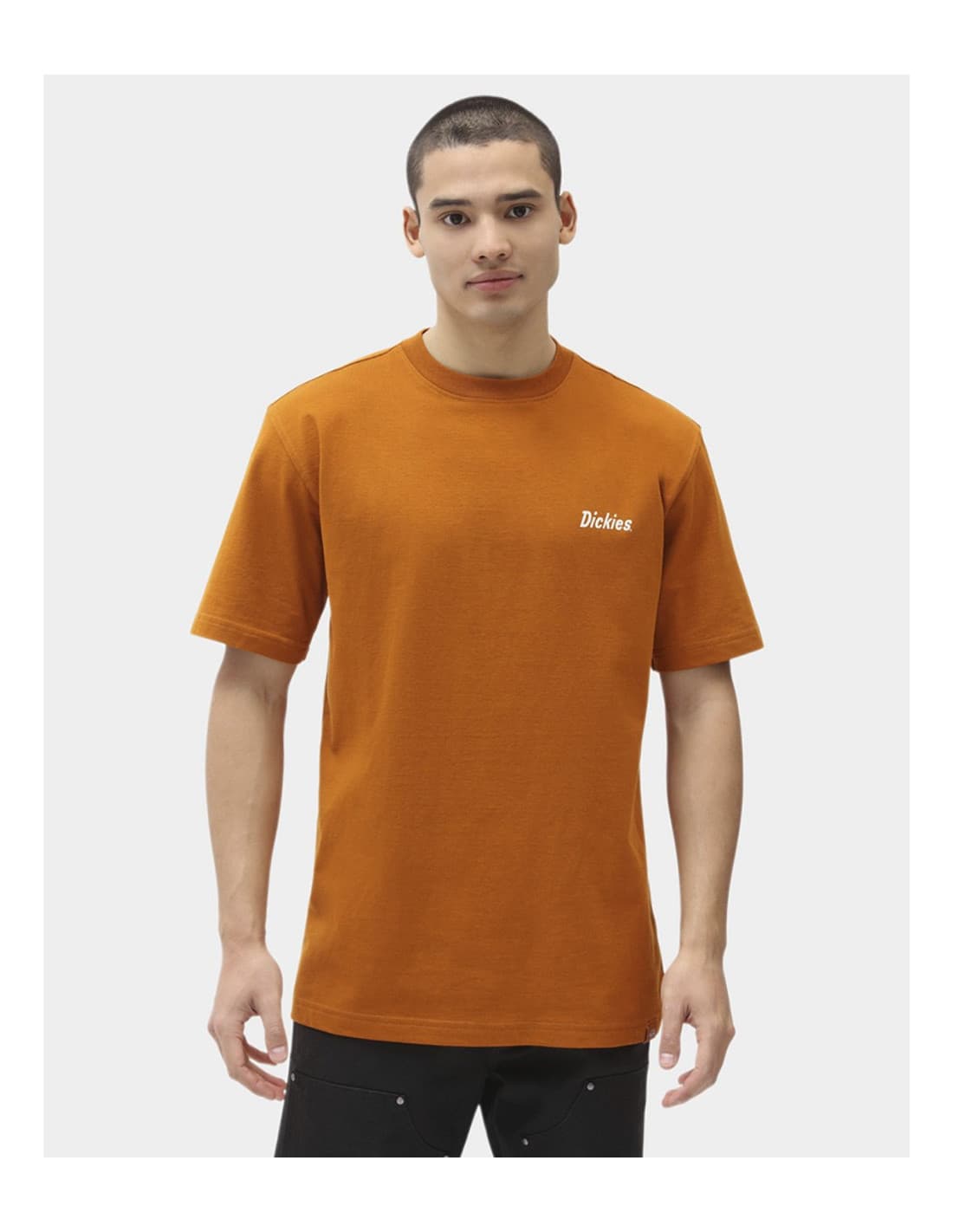 T-shirt DICKIES BETTLES 1