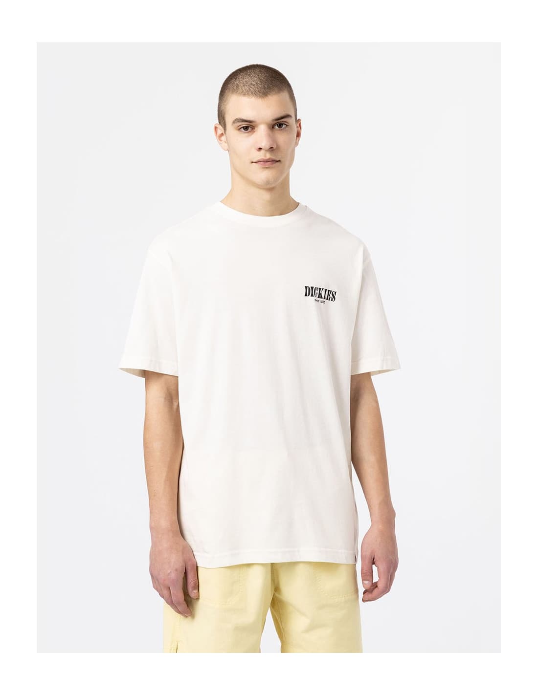 T-shirt DICKIES DK0A4XO4 4