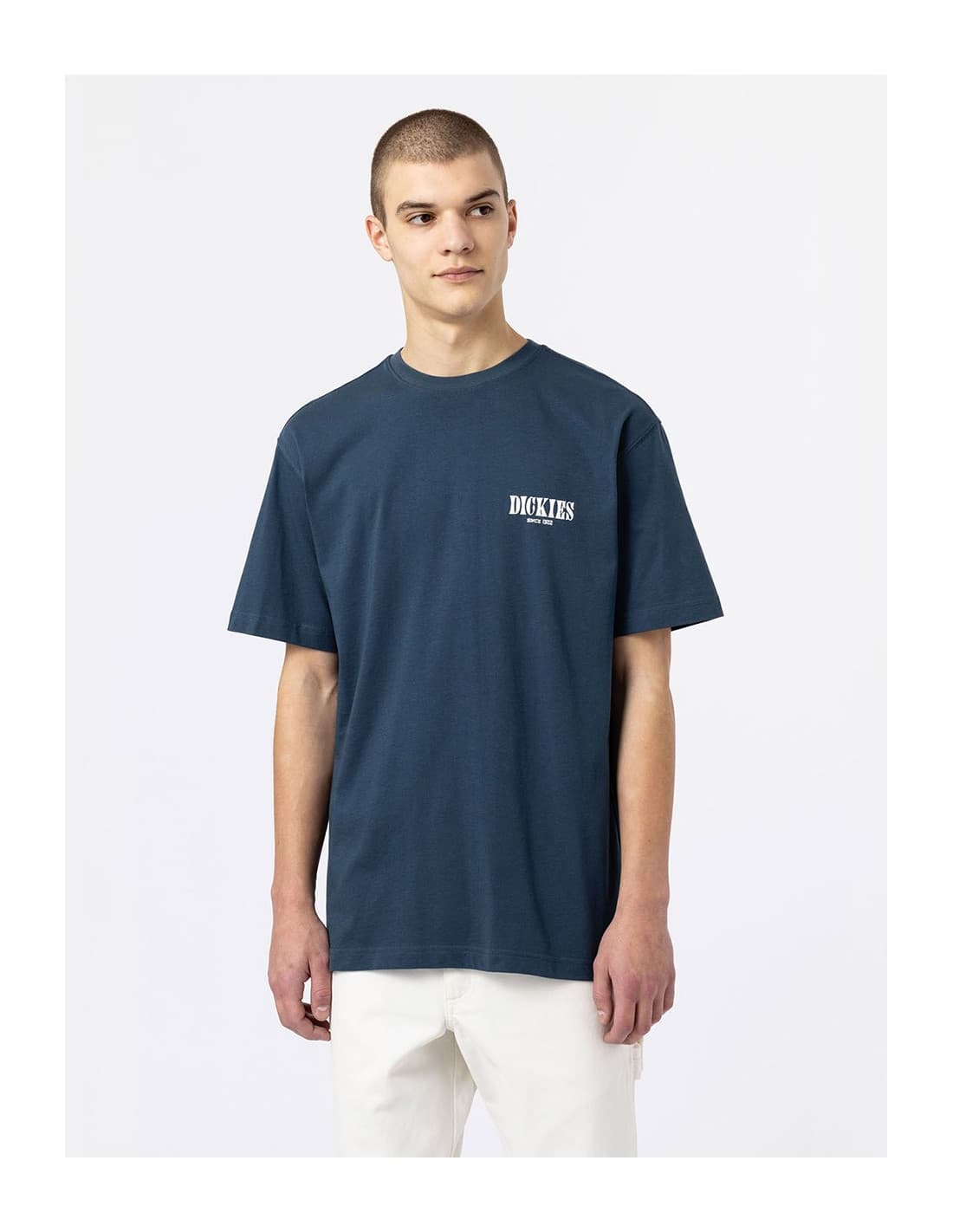 T-shirt DICKIES DK0A4XO4 8