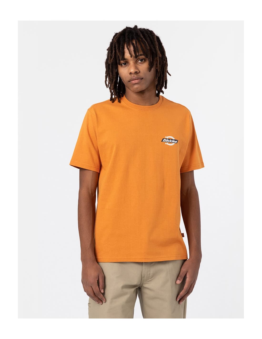 T-shirt DICKIES DK0A4XDC 7