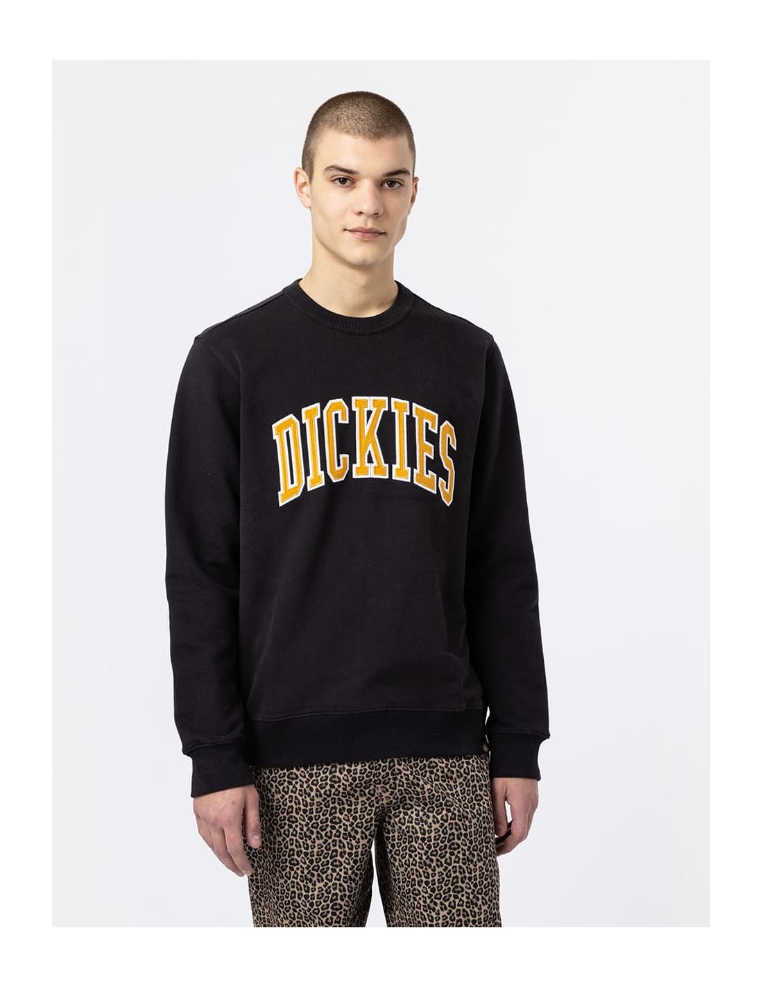 Sweat-shirt DICKIES DK0A4XAB 2