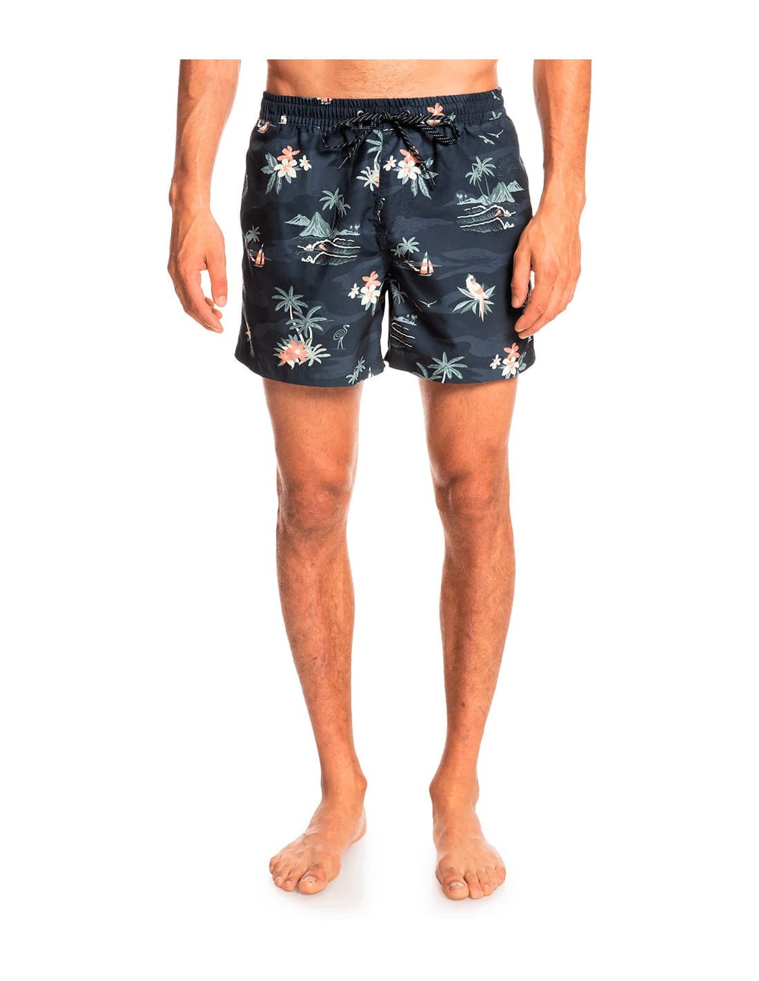 Short de bain QUIKSILVER Everyday Scenic Volley 15 1