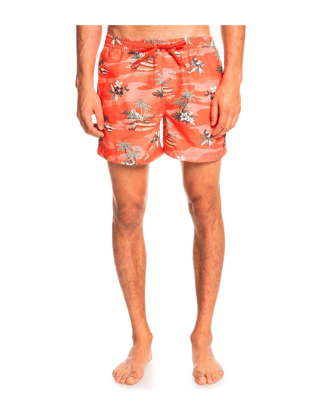 Short de bain QUIKSILVER Everyday Scenic Volley 15 7
