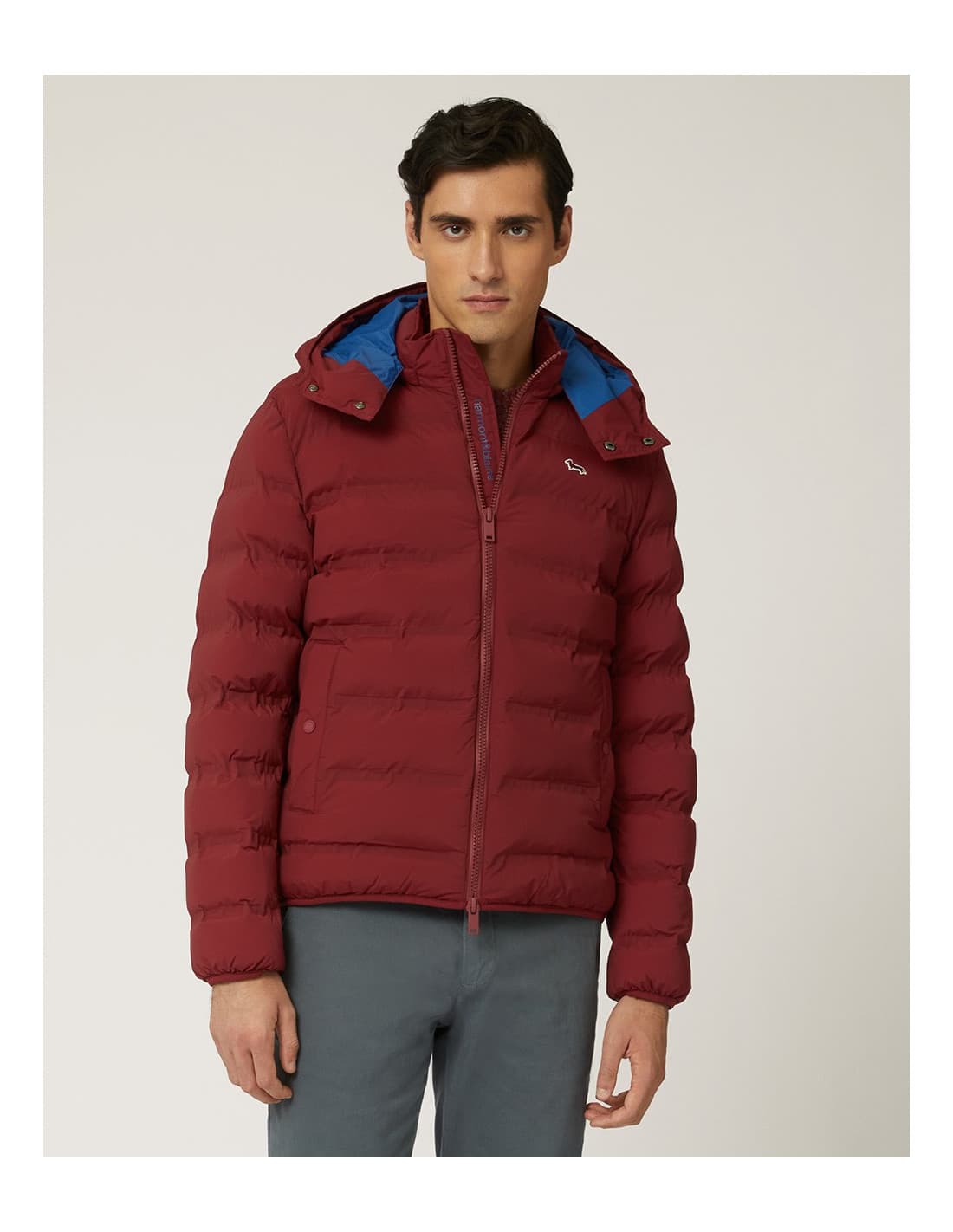 HARMONT & BLAINE K0K208040586 - Veste 2