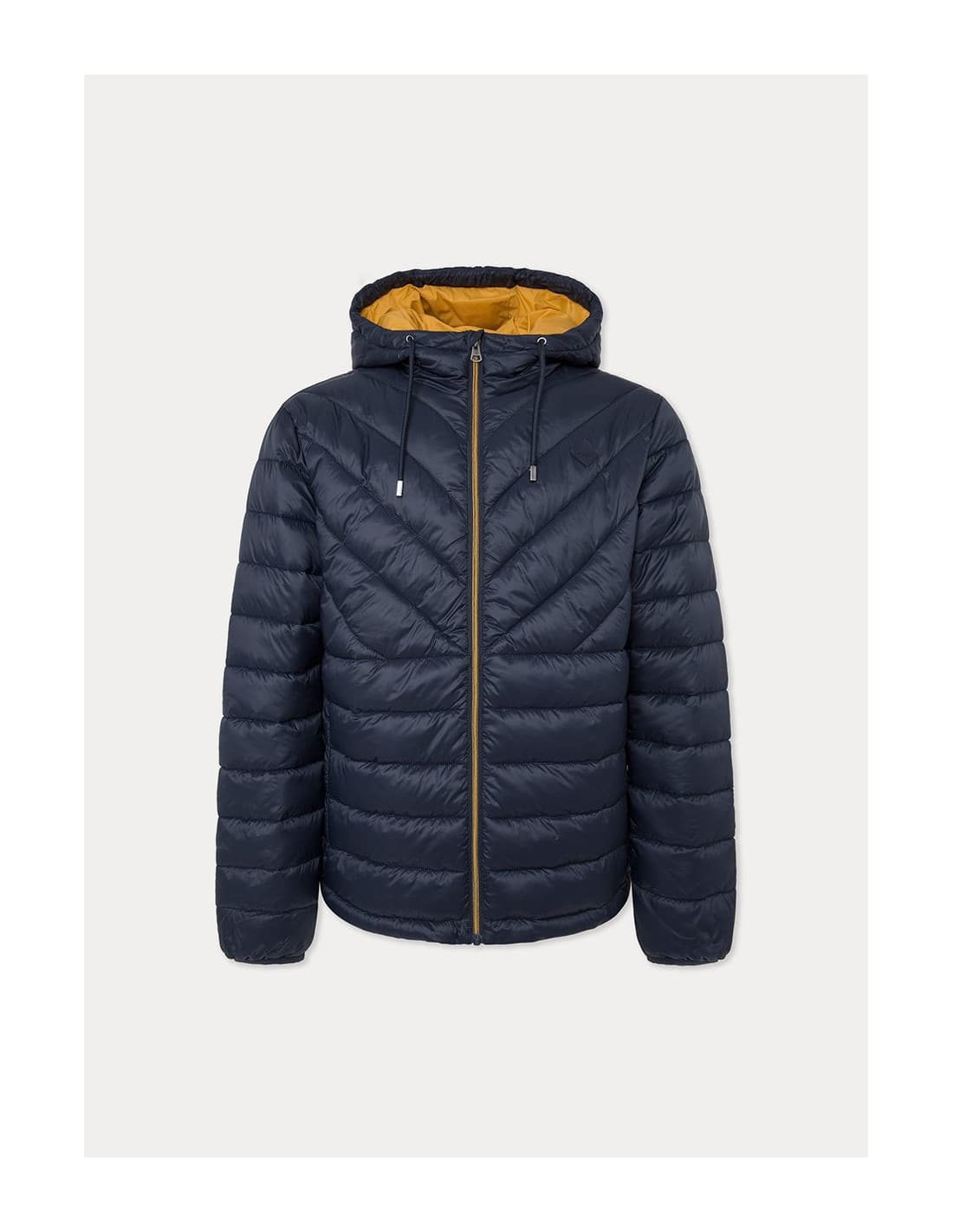 HACKETT HM403212 - Veste 1