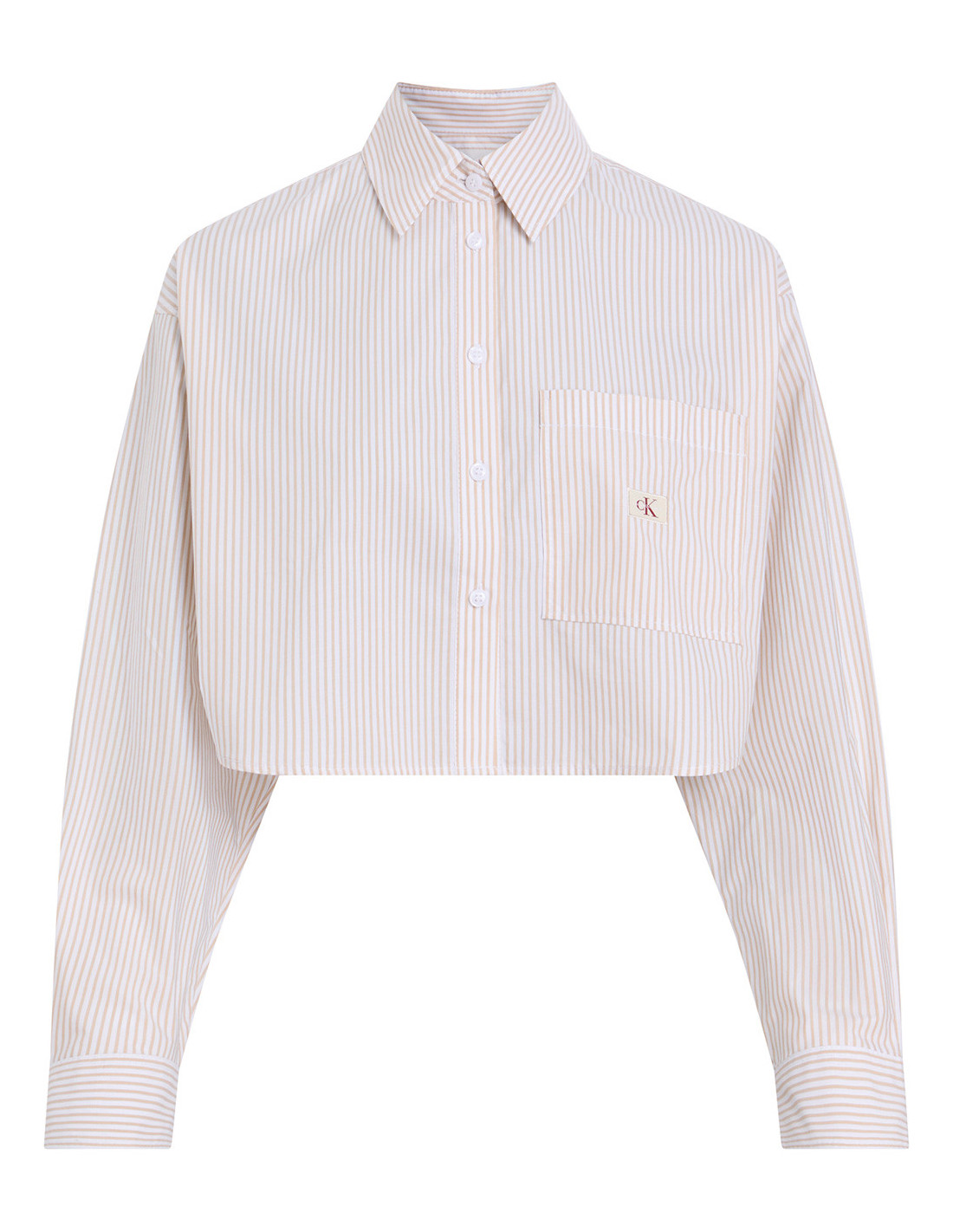 Chemise CALVIN KLEIN J20J225078 2