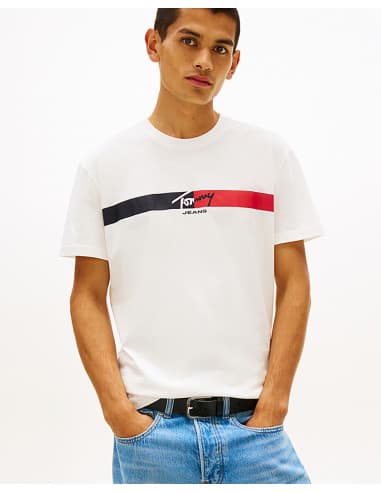 T-shirt TOMMY HILFIGER DM0DM22539 1