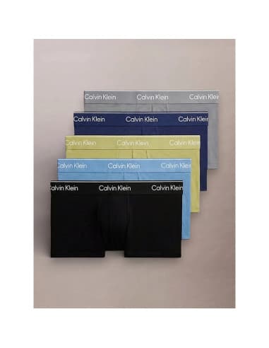 Calvin Klein LV00NB4390 - Lot de 5 boxers 3