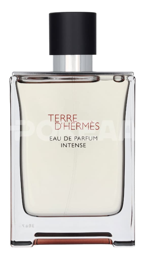 Hermes Terre D'Hermes Eau Intense Parfum Spray – 100 ml 2