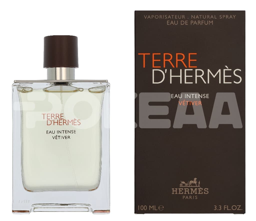 Hermes Terre D'Hermes Eau Intense Vetiver Edp Spray – 100 ml 1