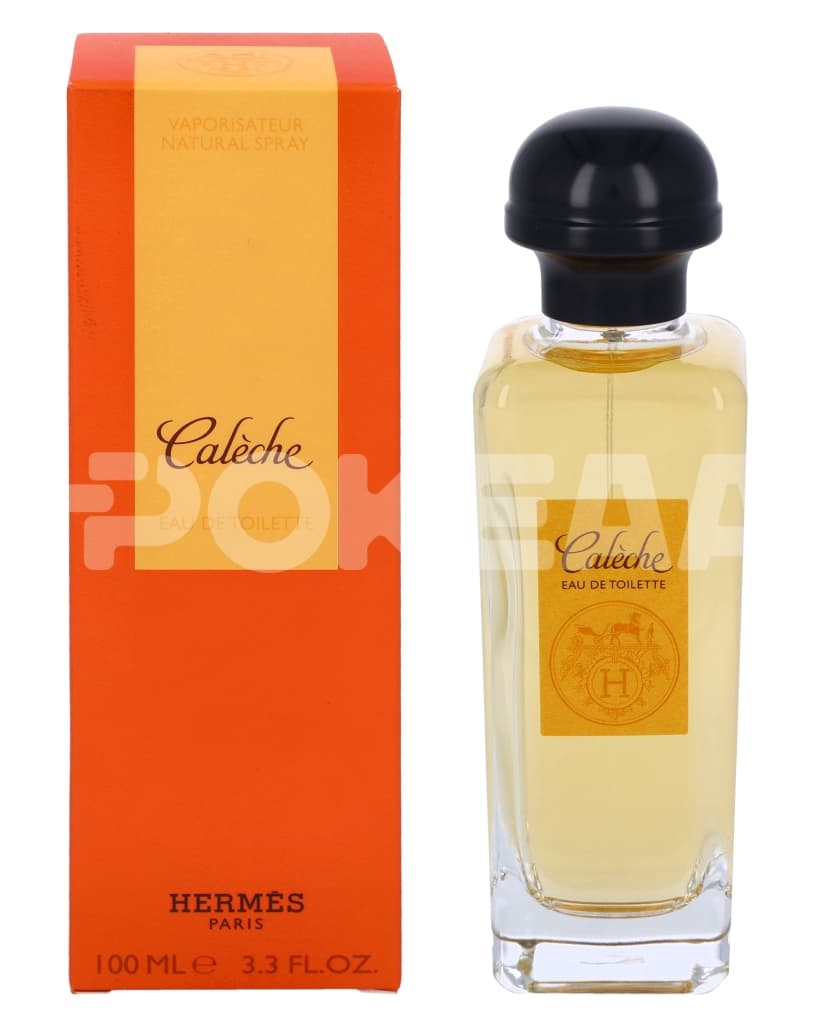 Hermes Caleche Edt Spray 100ml 1