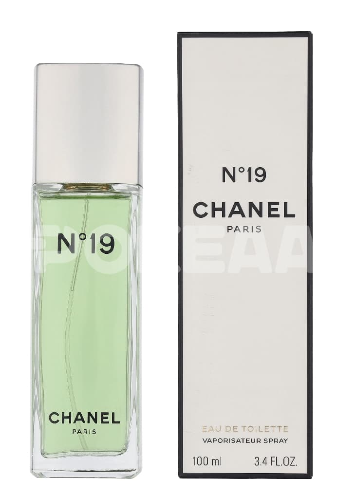 Chanel No 19 Edt Spray 100ml 1