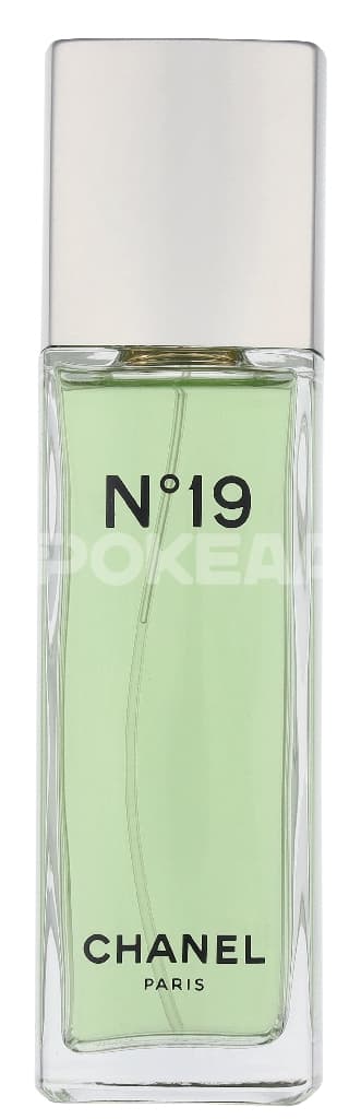 Chanel No 19 Edt Spray – 100 ml 2